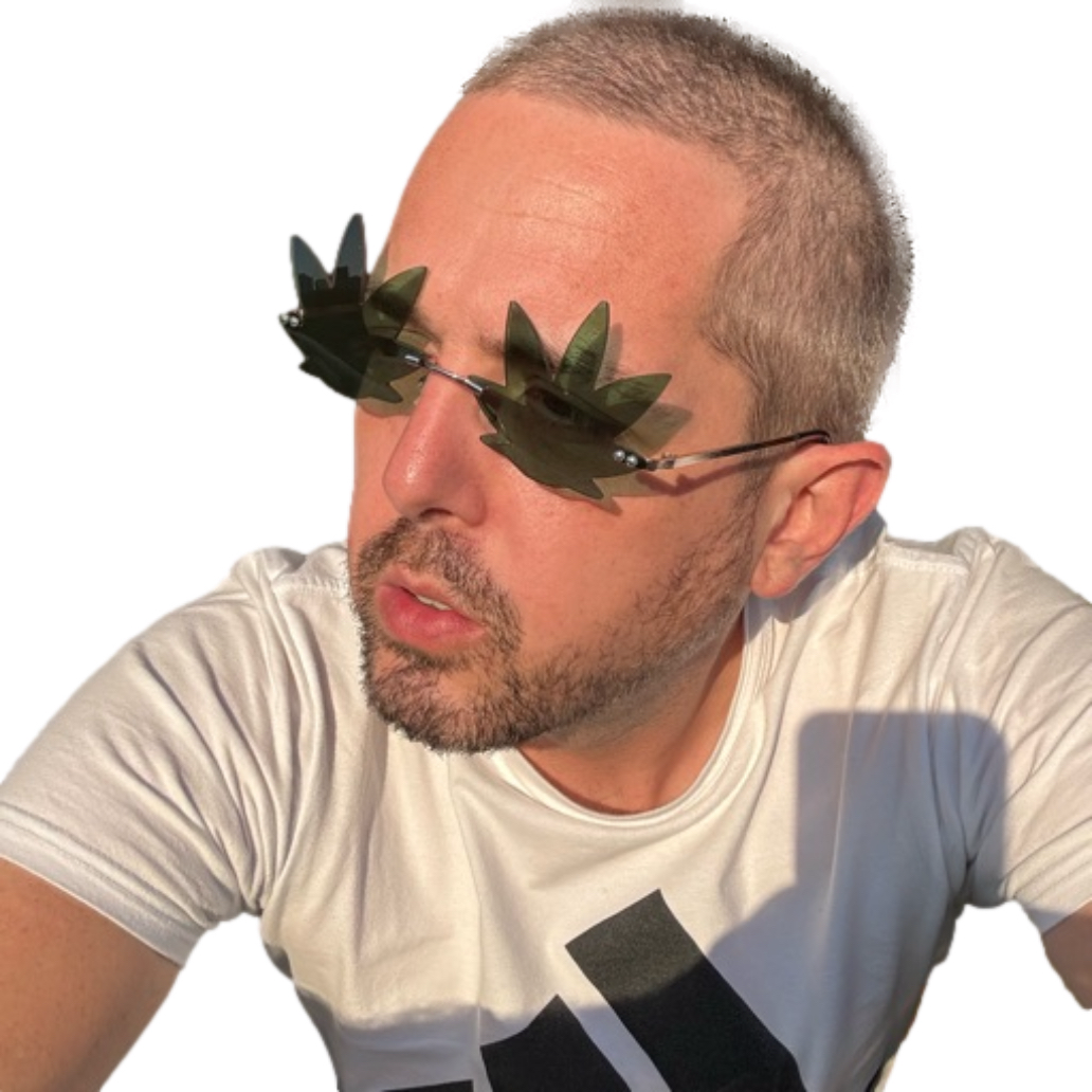 Person wear Green Weed Leaf Sunglasses