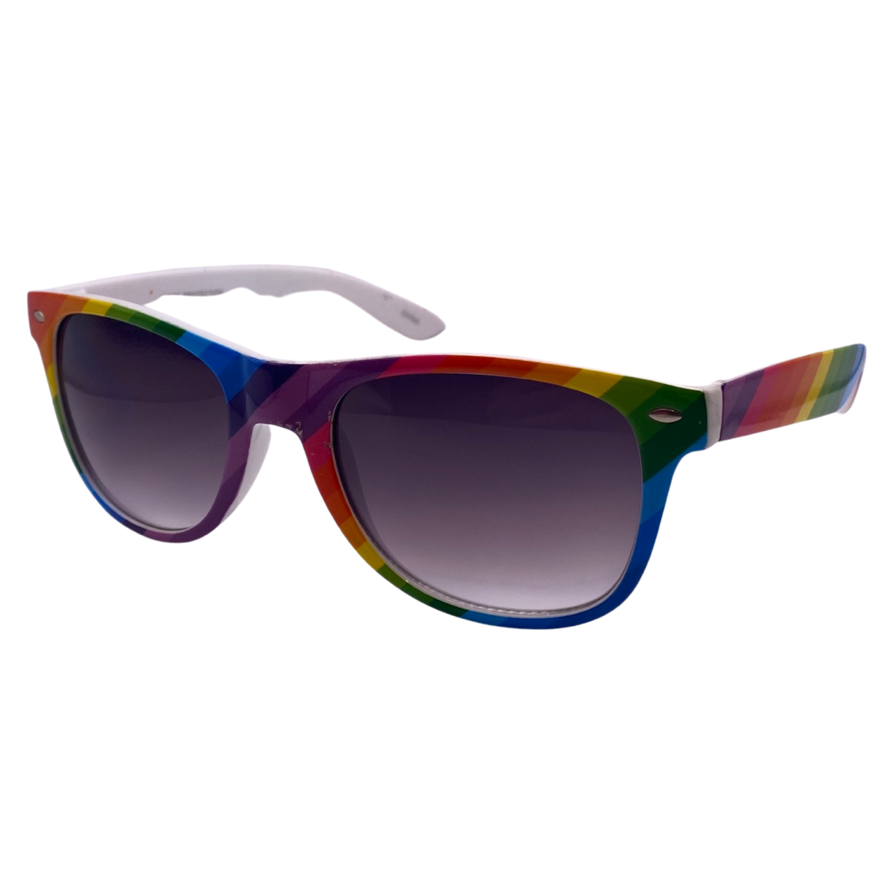 Rainbow Wayfarer Sunglasses Side 2 View