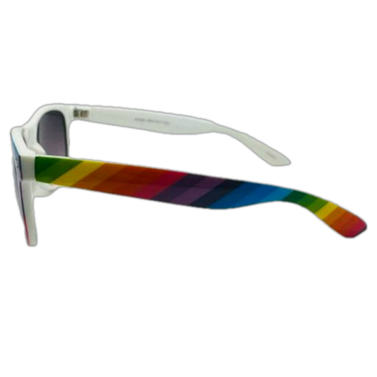 6175 | Rainbow Frame Cali Classic Sunglasses