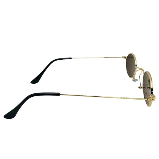 Brown Lens Small Circle Sunglasses