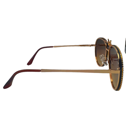 5007 | Nector - Classic Aviator Sunglasses with accented rims and insect detail