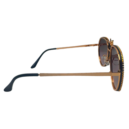 5007 | Nector - Classic Aviator Sunglasses with accented rims and insect detail