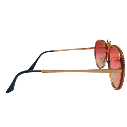 5007 | Nector - Classic Aviator Sunglasses with accented rims and insect detail