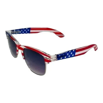 6026 | American Flag Browline Sunglasses
